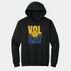 Heavy Blend Hooded Sweatshirt Thumbnail